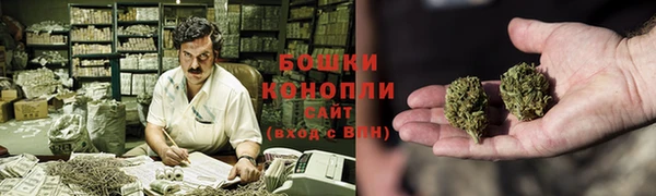 бошки Краснослободск