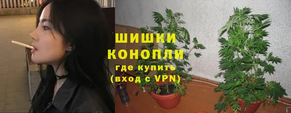 бошки Краснослободск
