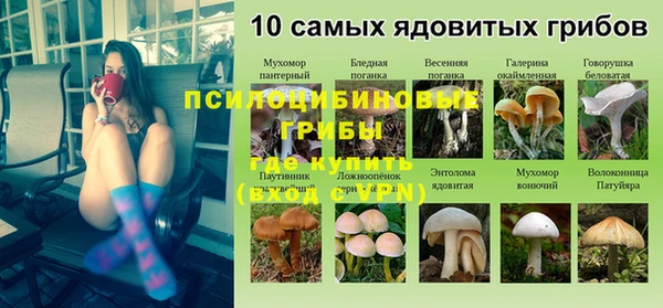 дживик Абинск