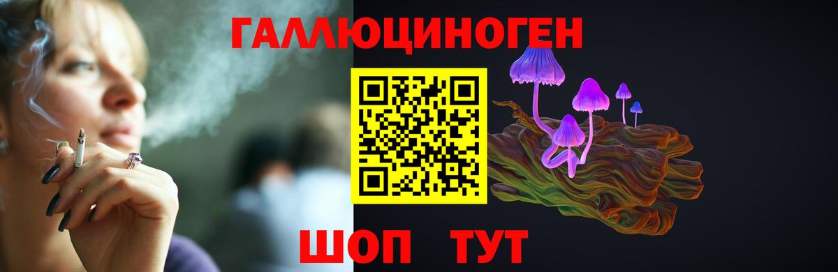 магазин  наркотиков  Галлюциногенные грибы GOLDEN TEACHER  Вход с VPN  Электросталь 