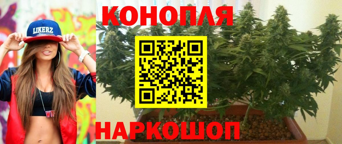 Шишки марихуана тримм  Вход с VPN  Электросталь  Шишки марихуана Amnesia  МАРИХУАНА Amnesia 